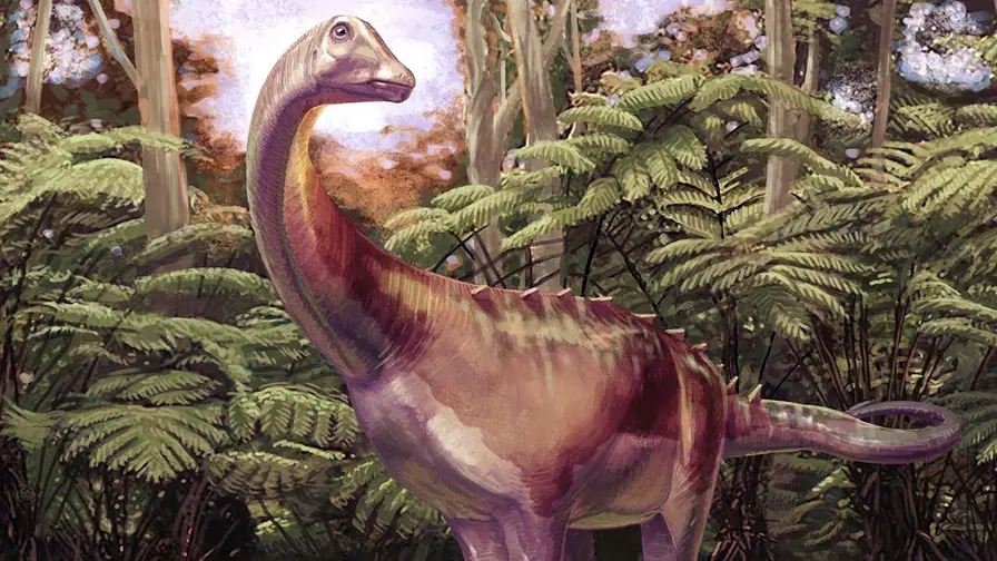 Fossil Sleeping in Storage for Decades Turns Out to Be First Dinosaur Found in Antarctica cover
