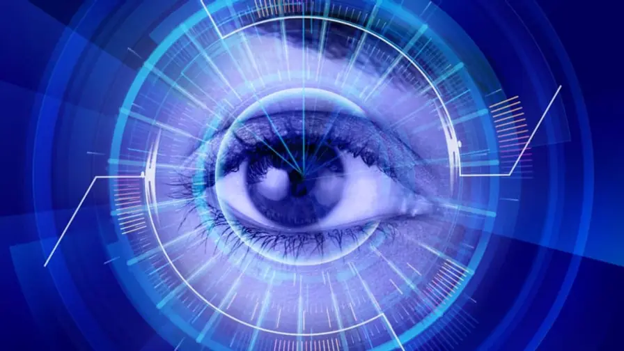 Pig Eyes Respond to Light 10 Hours After Death in Breakthrough Study cover