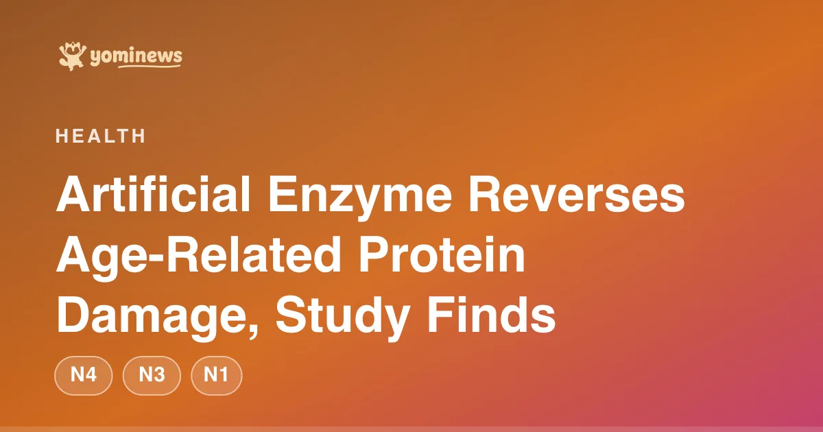 Artificial Enzyme Reverses Age-Related Protein Damage, Study Finds